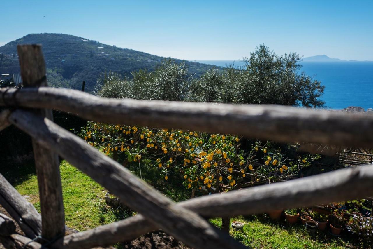 Casa Floriana Lägenhet Vico Equense Exteriör bild
