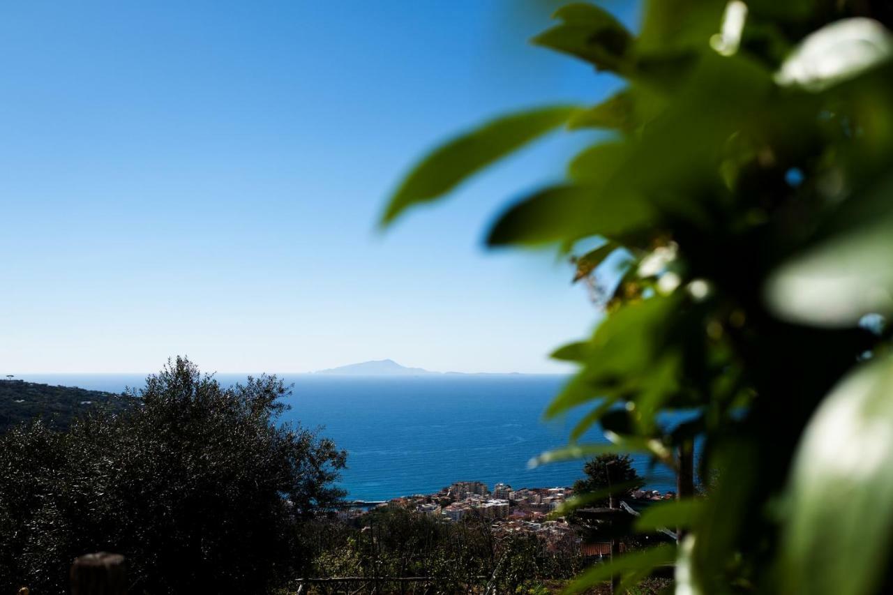 Casa Floriana Lägenhet Vico Equense Exteriör bild
